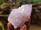 Natural Cactus Flower Amethyst Spirit Quartz Crystals x 12 From South Africa - Toprock Gemstones and Minerals 