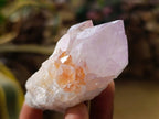 Natural Cactus Flower Amethyst Spirit Quartz Crystals x 12 From South Africa - Toprock Gemstones and Minerals 