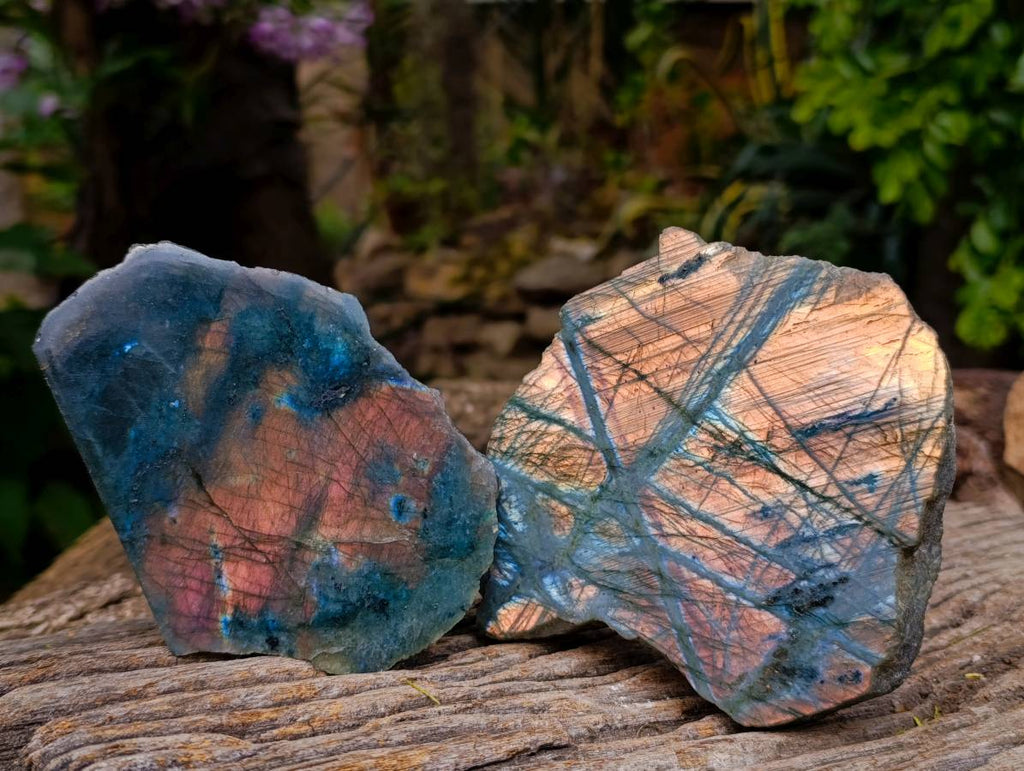 Polished Labradorite On Side Polished x 6 From Tulear, Madagascar - Toprock Gemstones and Minerals 