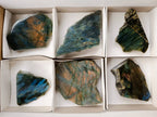 Polished Labradorite On Side Polished x 6 From Tulear, Madagascar - Toprock Gemstones and Minerals 