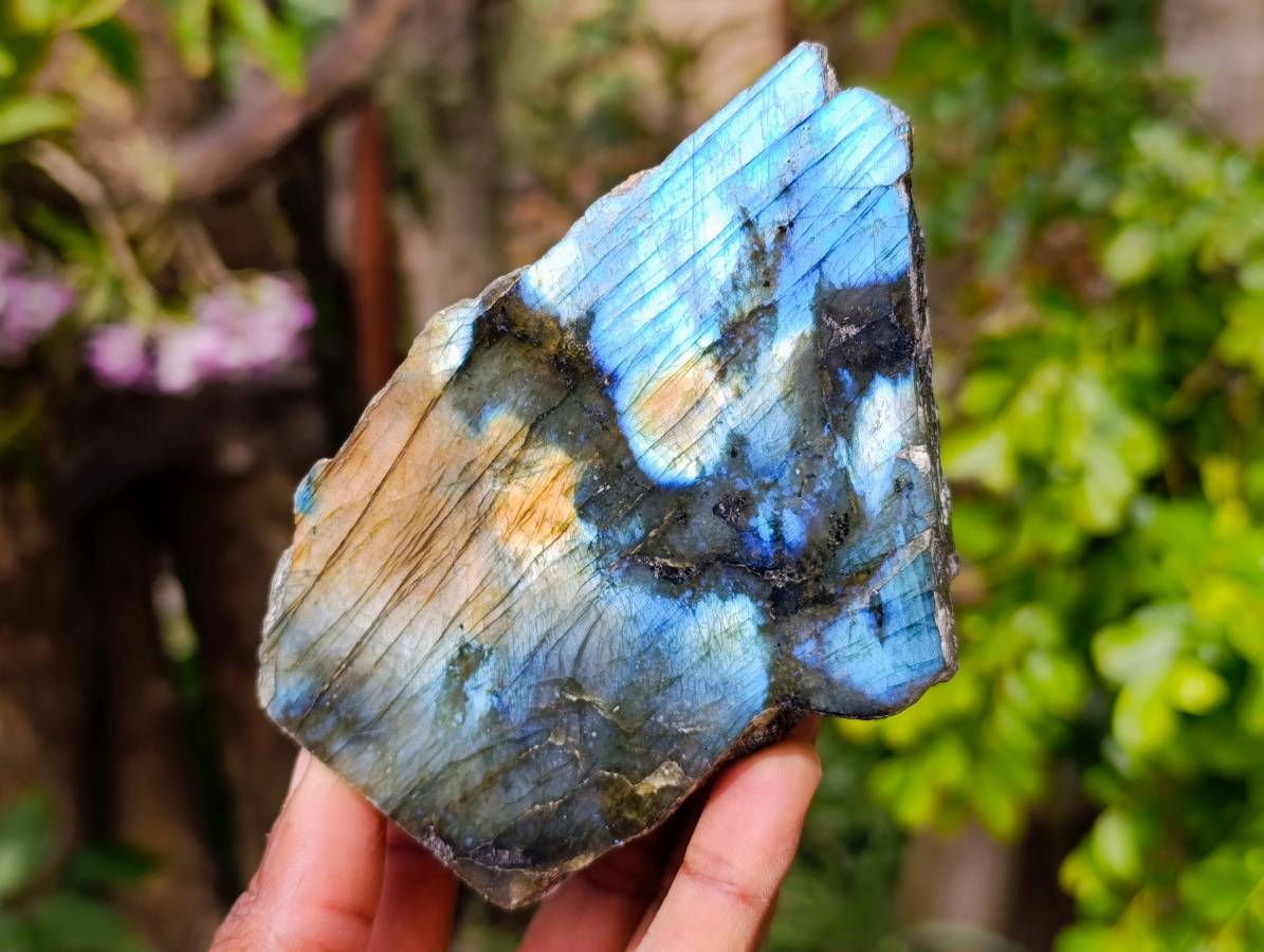 Polished Labradorite On Side Polished x 6 From Tulear, Madagascar - Toprock Gemstones and Minerals 