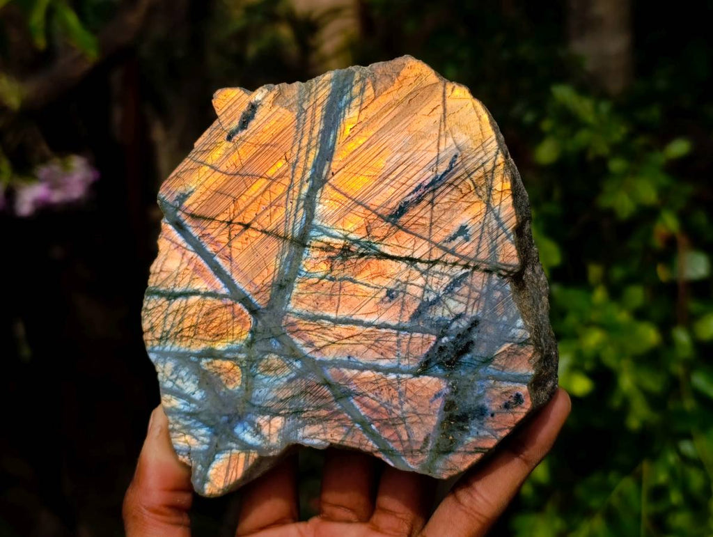 Polished Labradorite On Side Polished x 6 From Tulear, Madagascar - Toprock Gemstones and Minerals 