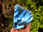 Polished Labradorite On Side Polished x 6 From Tulear, Madagascar - Toprock Gemstones and Minerals 