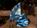 Polished Labradorite On Side Polished x 6 From Tulear, Madagascar - Toprock Gemstones and Minerals 