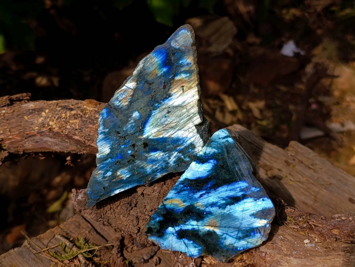 Polished Labradorite On Side Polished x 6 From Tulear, Madagascar - Toprock Gemstones and Minerals 
