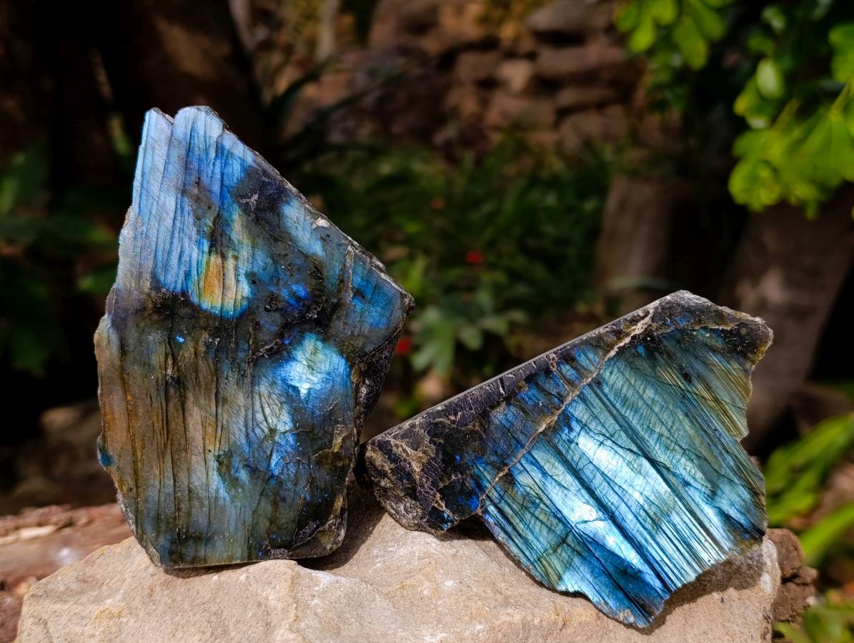 Polished Labradorite On Side Polished x 6 From Tulear, Madagascar - Toprock Gemstones and Minerals 
