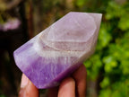 Polished Chevron Amethyst Points x 12 From Zambia - Toprock Gemstones and Minerals 