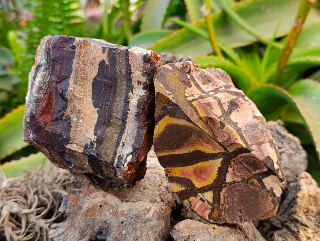 Natural Mixed Multi Mineral Specimens x 11 From Southern Africa - Toprock Gemstones and Minerals 