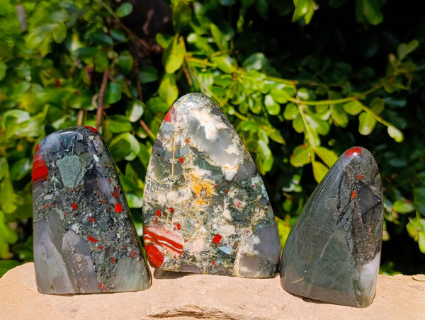 Polished Bloodstone Standing Free Forms x 3 From Swaziland - Toprock Gemstones and Minerals 