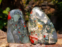 Polished Bloodstone Standing Free Forms x 3 From Swaziland - Toprock Gemstones and Minerals 