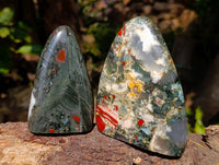 Polished Bloodstone Standing Free Forms x 3 From Swaziland - Toprock Gemstones and Minerals 