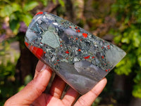 Polished Bloodstone Standing Free Forms x 3 From Swaziland - Toprock Gemstones and Minerals 