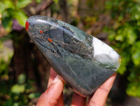 Polished Bloodstone Standing Free Forms x 3 From Swaziland - Toprock Gemstones and Minerals 