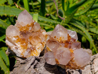 Natural Golden Limonite Spirit Quartz Crystals x 4 From South Africa - Toprock Gemstones and Minerals 