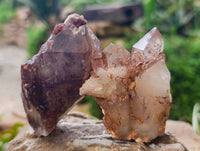 Natural Red Hematoid Quartz Crystals x 12 From Karoi, Zimbabwe - Toprock Gemstones and Minerals 