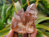 Natural Red Hematoid Quartz Crystals x 12 From Karoi, Zimbabwe - Toprock Gemstones and Minerals 