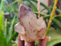 Natural Red Hematoid Quartz Crystals x 12 From Karoi, Zimbabwe - Toprock Gemstones and Minerals 