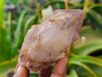 Natural Red Hematoid Quartz Crystals x 12 From Karoi, Zimbabwe - Toprock Gemstones and Minerals 