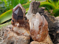 Natural Red Hematoid Quartz Crystals x 12 From Karoi, Zimbabwe - Toprock Gemstones and Minerals 