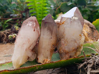 Natural Red Hematoid Quartz Crystals x 12 From Karoi, Zimbabwe - Toprock Gemstones and Minerals 