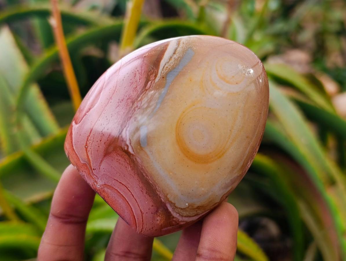 Polished Polychrome Jasper Standing Free Forms x 6 From NW Coast, Madagascar - Toprock Gemstones and Minerals 