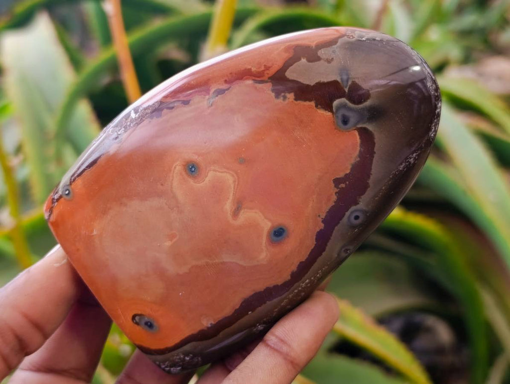 Polished Polychrome Jasper Standing Free Forms x 6 From NW Coast, Madagascar - Toprock Gemstones and Minerals 