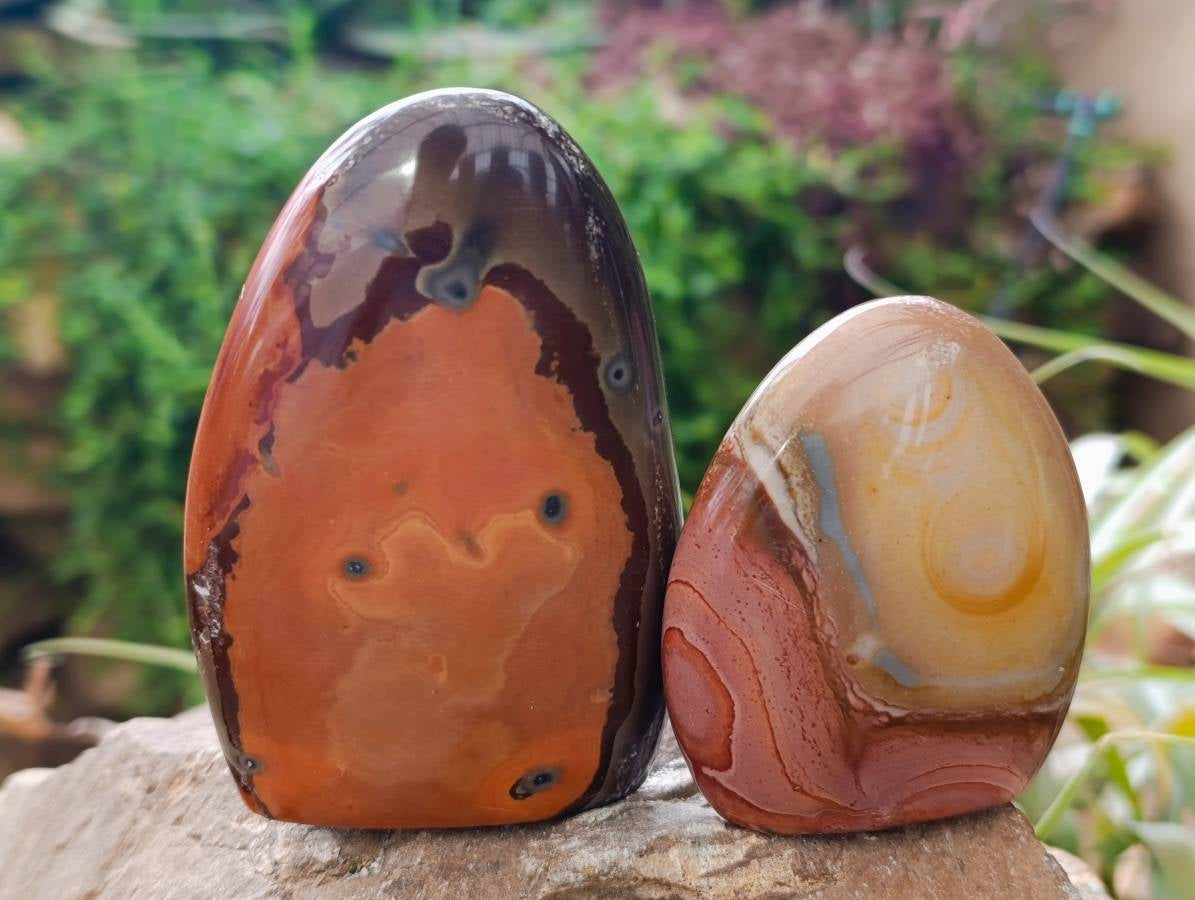 Polished Polychrome Jasper Standing Free Forms x 6 From NW Coast, Madagascar - Toprock Gemstones and Minerals 