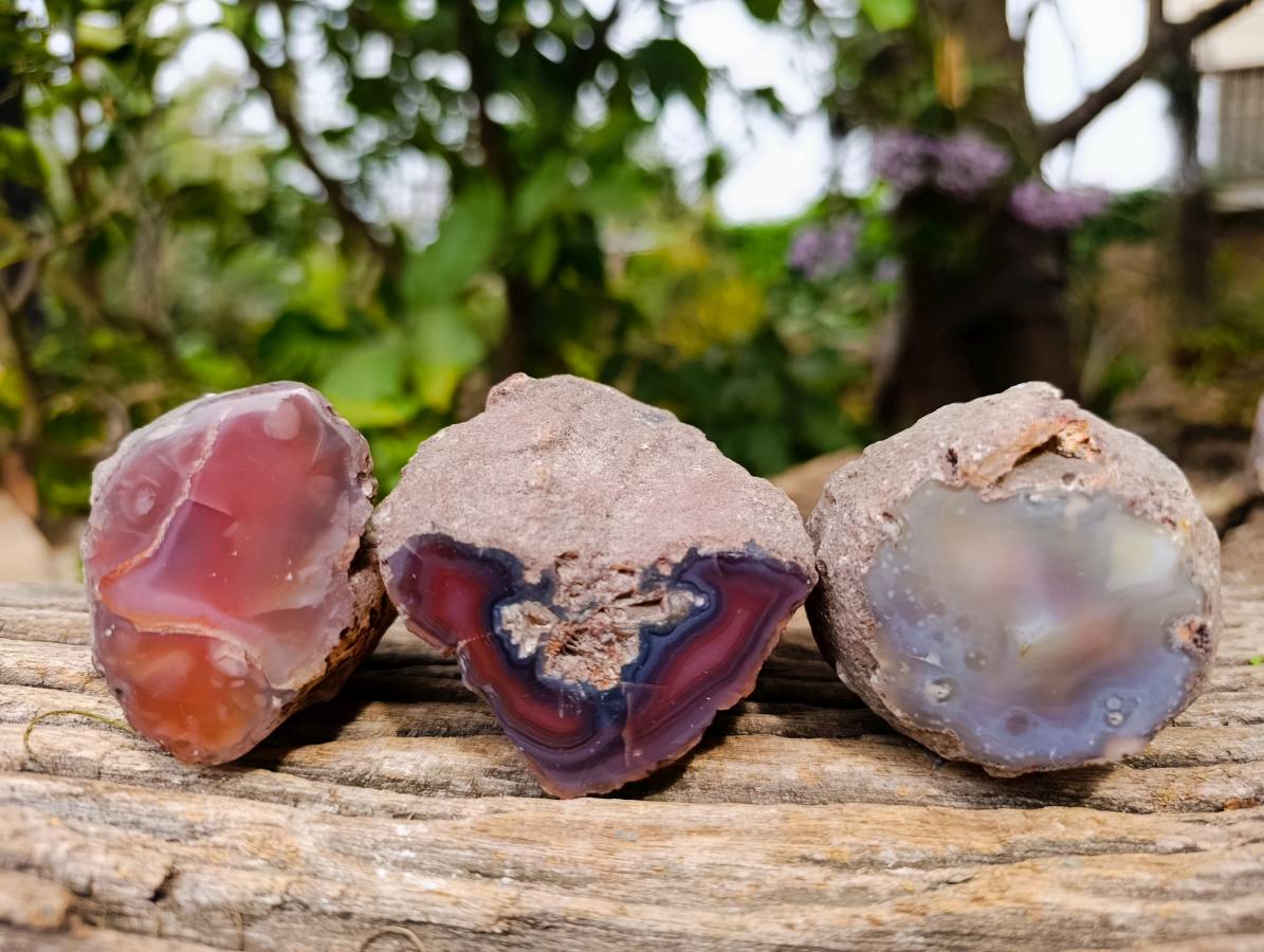Polished Red Sashe River Agate Nodules x 12 From Sashe River, Zimbabwe - Toprock Gemstones and Minerals 