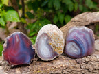 Polished Red Sashe River Agate Nodules x 12 From Sashe River, Zimbabwe - Toprock Gemstones and Minerals 