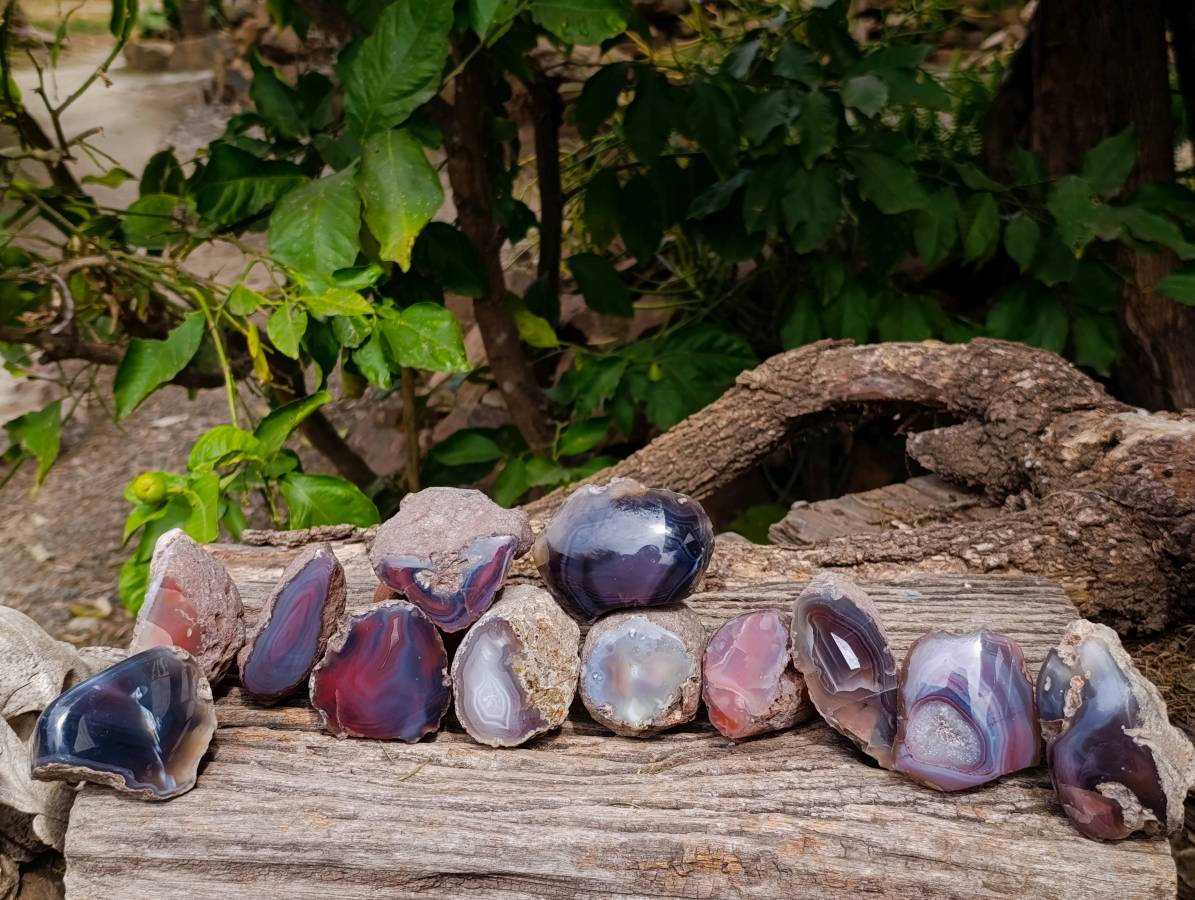 Polished Red Sashe River Agate Nodules x 12 From Sashe River, Zimbabwe - Toprock Gemstones and Minerals 