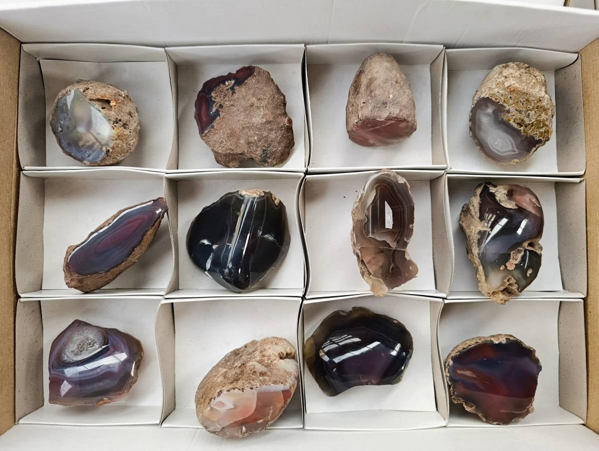 Polished Red Sashe River Agate Nodules x 12 From Sashe River, Zimbabwe - Toprock Gemstones and Minerals 