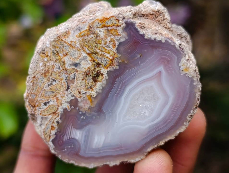 Polished Red Sashe River Agate Nodules x 12 From Sashe River, Zimbabwe - Toprock Gemstones and Minerals 
