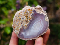 Polished Red Sashe River Agate Nodules x 12 From Sashe River, Zimbabwe - Toprock Gemstones and Minerals 