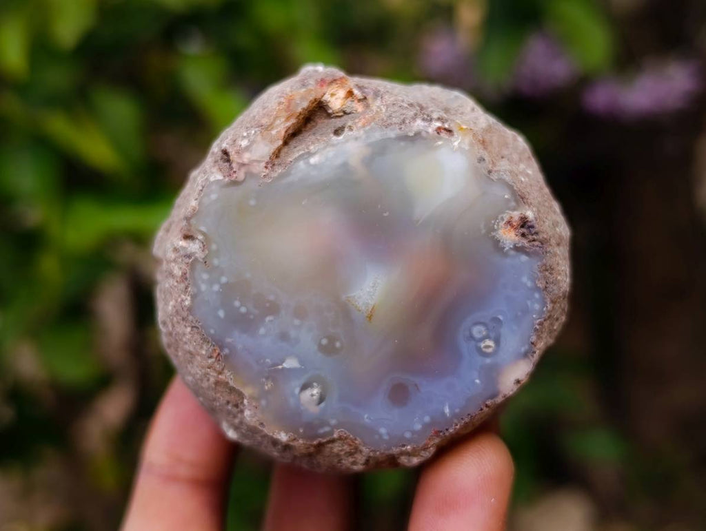 Polished Red Sashe River Agate Nodules x 12 From Sashe River, Zimbabwe - Toprock Gemstones and Minerals 