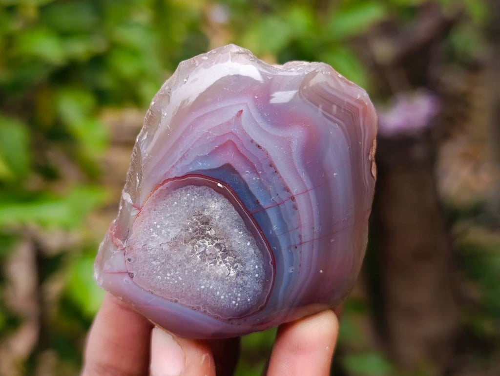 Polished Red Sashe River Agate Nodules x 12 From Sashe River, Zimbabwe - Toprock Gemstones and Minerals 