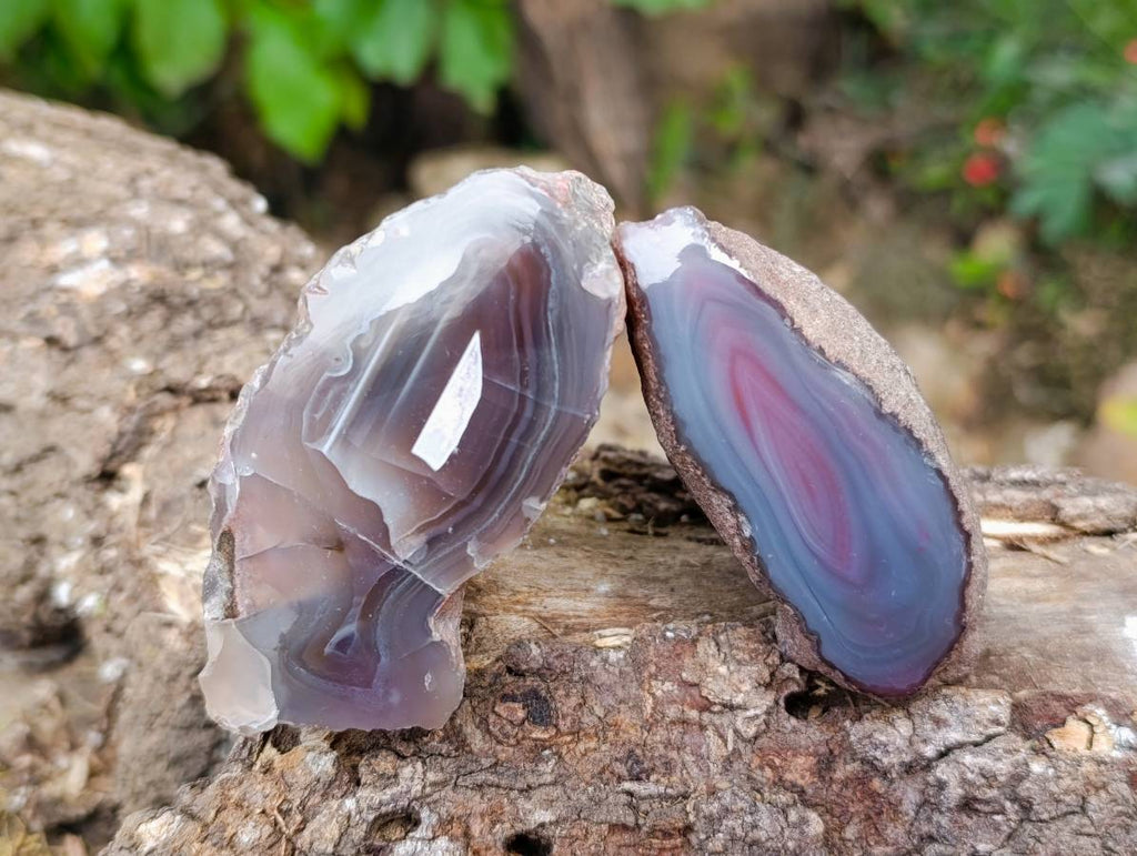 Polished Red Sashe River Agate Nodules x 12 From Sashe River, Zimbabwe - Toprock Gemstones and Minerals 