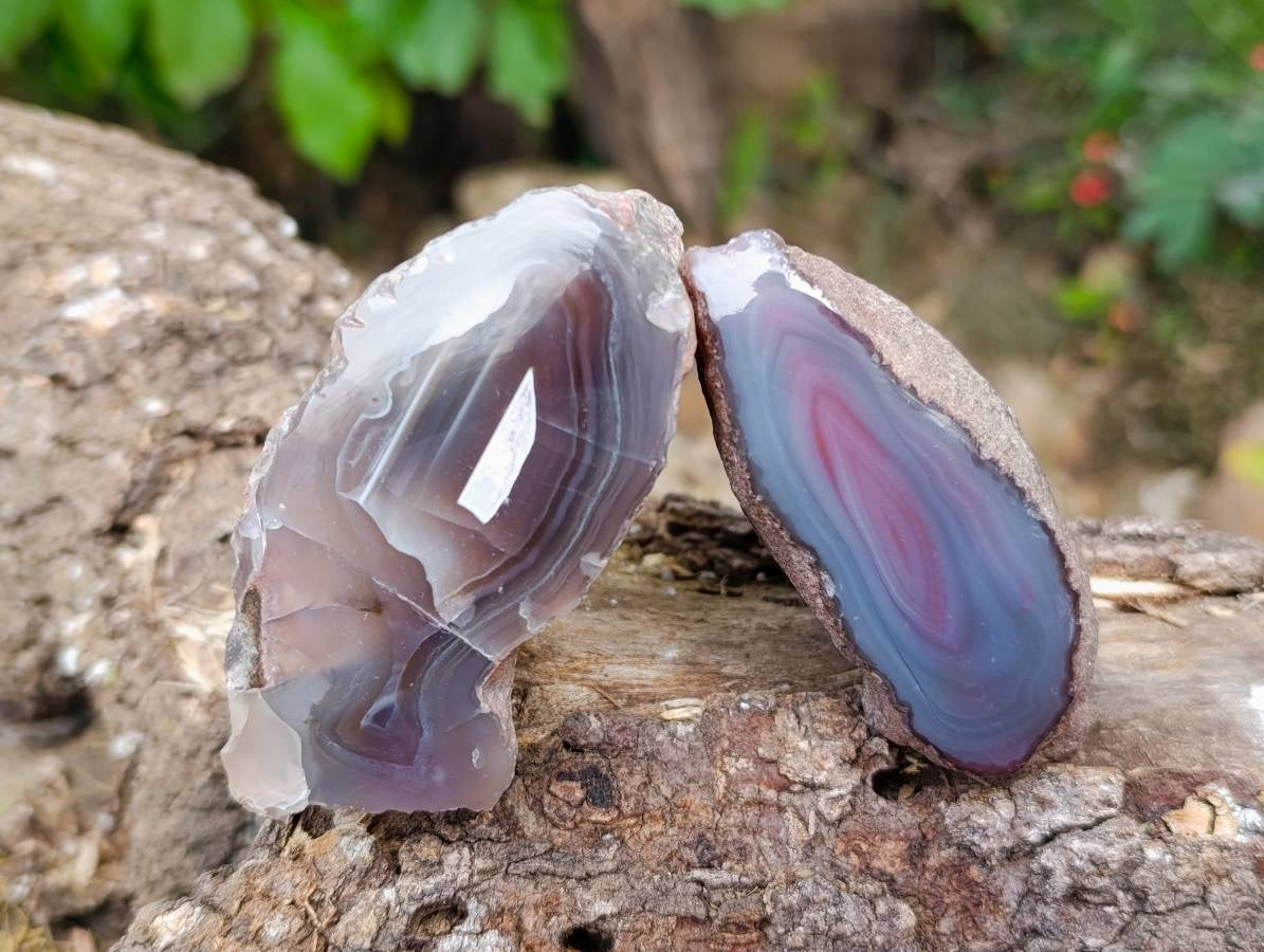 Polished Red Sashe River Agate Nodules x 12 From Sashe River, Zimbabwe - Toprock Gemstones and Minerals 
