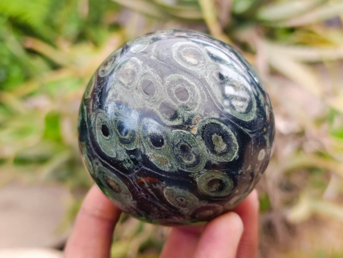 Polished Stromatolite Spheres x 6 From Katsepy, Madagascar - Toprock Gemstones and Minerals 