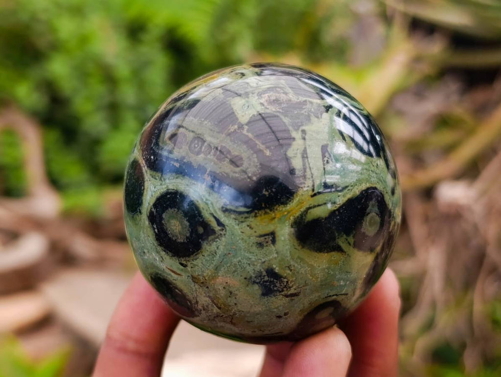 Polished Stromatolite Spheres x 6 From Katsepy, Madagascar - Toprock Gemstones and Minerals 