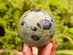 Polished Stromatolite Spheres x 6 From Katsepy, Madagascar - Toprock Gemstones and Minerals 