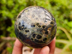 Polished Stromatolite Spheres x 6 From Katsepy, Madagascar - Toprock Gemstones and Minerals 