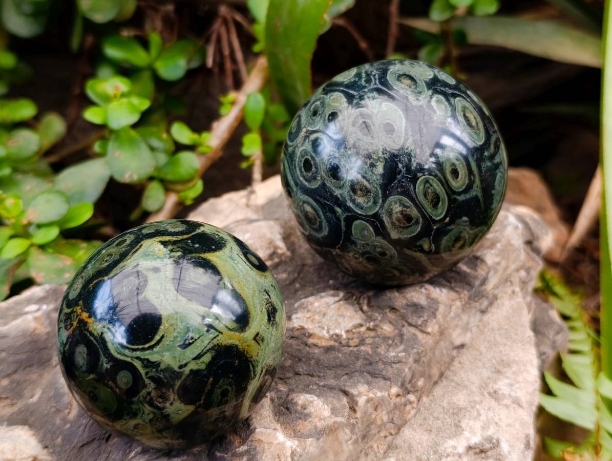 Polished Stromatolite Spheres x 6 From Katsepy, Madagascar - Toprock Gemstones and Minerals 