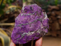 Natural Metallic Purpurite Specimens x 6 From Erongo, Namibia - Toprock Gemstones and Minerals 