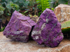 Natural Metallic Purpurite Specimens x 6 From Erongo, Namibia - Toprock Gemstones and Minerals 