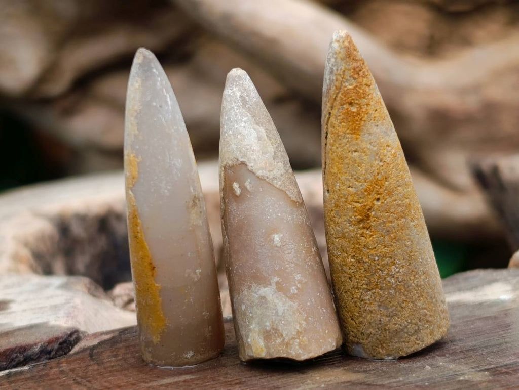 Natural Belimnite Fossils x 1 Lot, From Maintirano, Madagascar - Toprock Gemstones and Minerals 