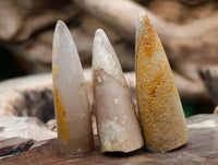 Natural Belimnite Fossils x 1 Lot, From Maintirano, Madagascar - Toprock Gemstones and Minerals 