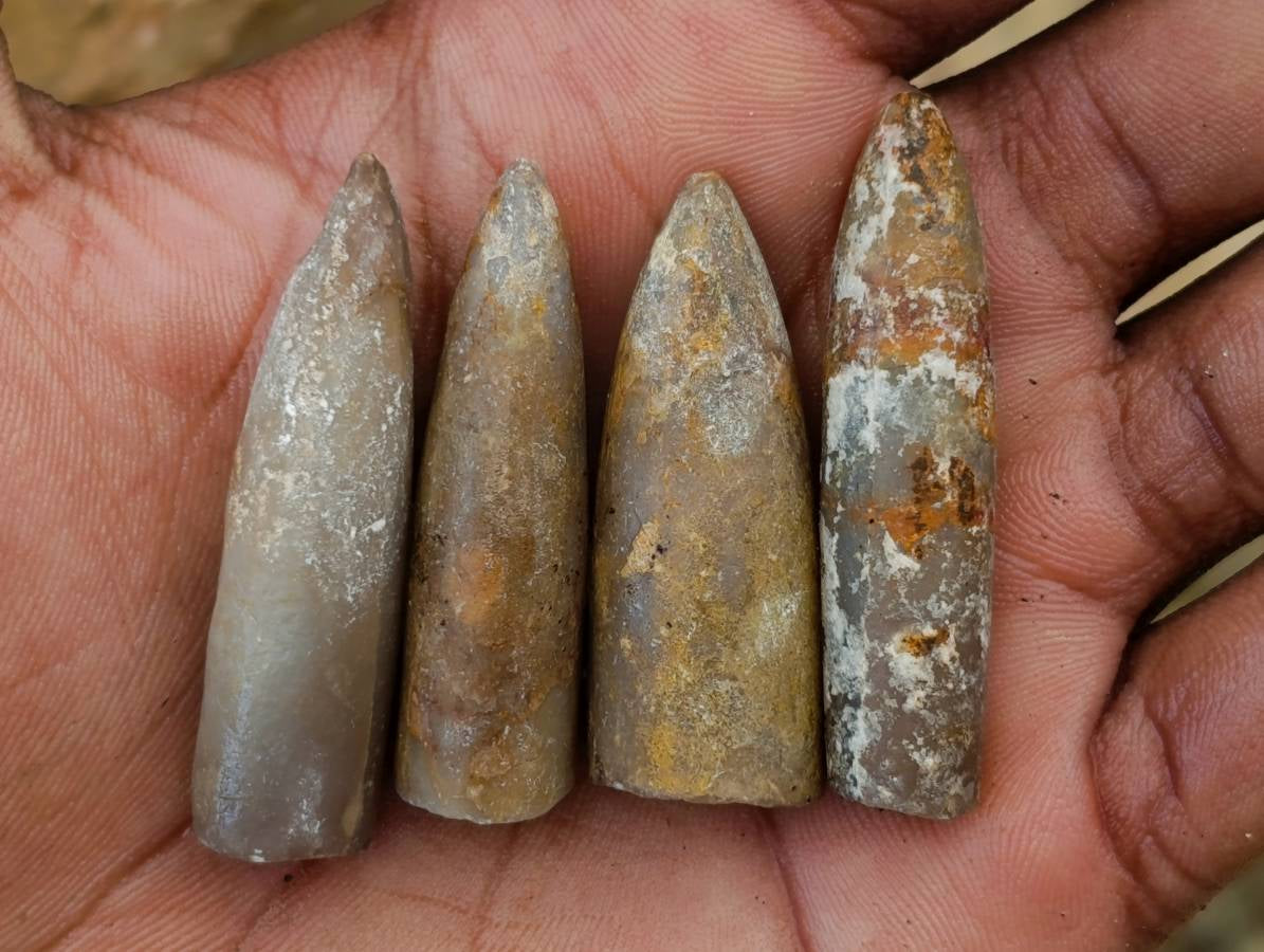 Natural Belimnite Fossils x 1 Lot, From Maintirano, Madagascar - Toprock Gemstones and Minerals 