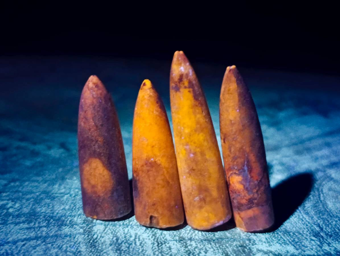 Natural Belimnite Fossils x 1 Lot, From Maintirano, Madagascar - Toprock Gemstones and Minerals 