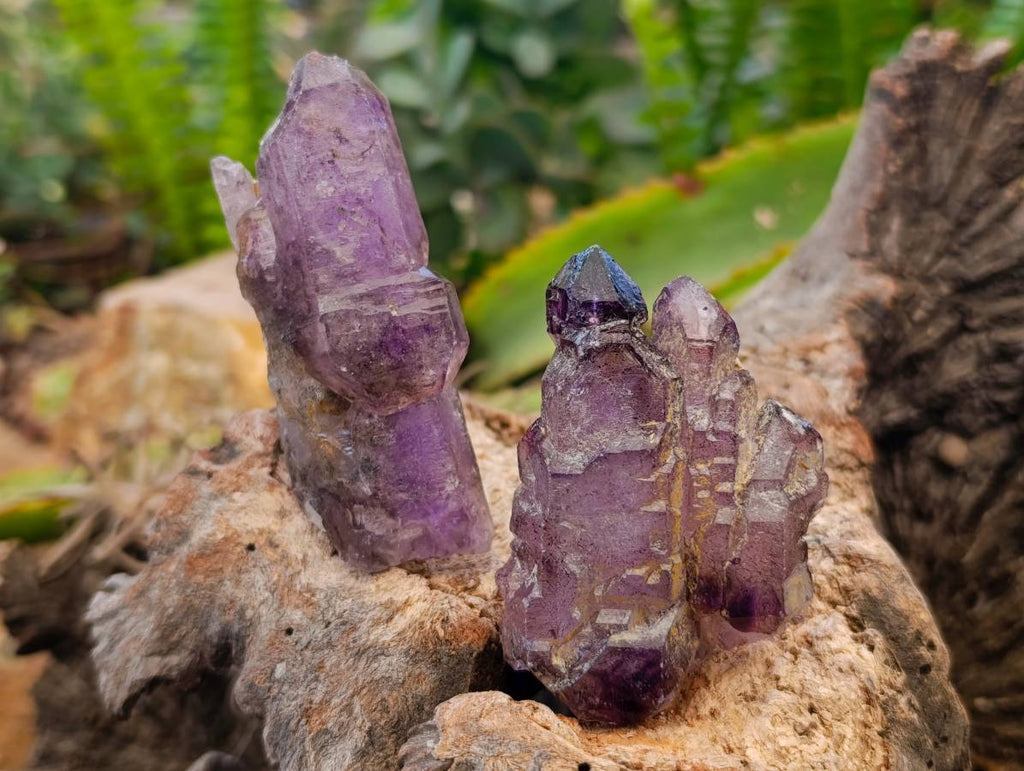Natural Window Amethyst Crystals x 12 From Chiredzi, Zimbabwe - Toprock Gemstones and Minerals 