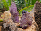 Natural Window Amethyst Crystals x 12 From Chiredzi, Zimbabwe - Toprock Gemstones and Minerals 
